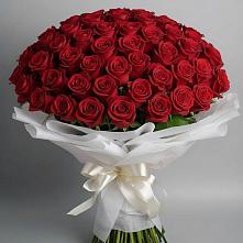 Букет 101 Красная роза Блэк Мэджик в Озеке-Суате