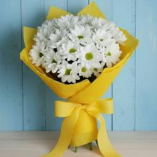 Букет цветов из:  Хризантемы в Озеке-Суате
