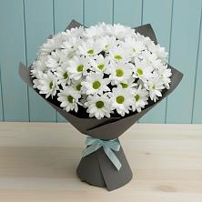 Букет цветов из:  Хризантемы в Озеке-Суате