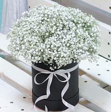 Цветочная композиция из Гипсофила в шляпной коробке #REPLACE_PRED# Озеке-Суате