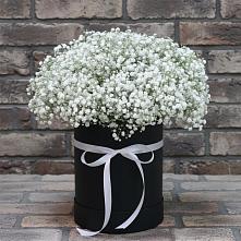 Цветочная композиция из Гипсофила в шляпной коробке в Озеке-Суате