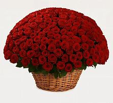 Премиум букет из: Розы в Озеке-Суате