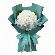Букет цветов из:  Гортензия в Озеке-Суате